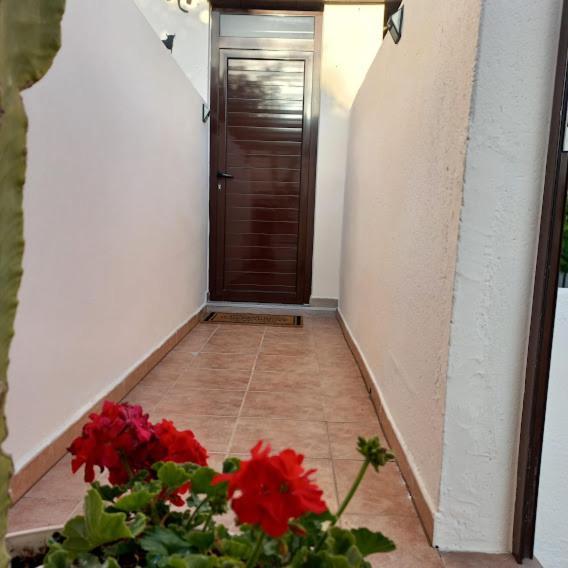 Apartamento Eva Costa Teguise Bagian luar foto